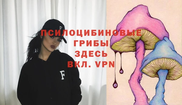 МДПВ Нефтекумск