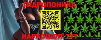 прущий лед Бийск