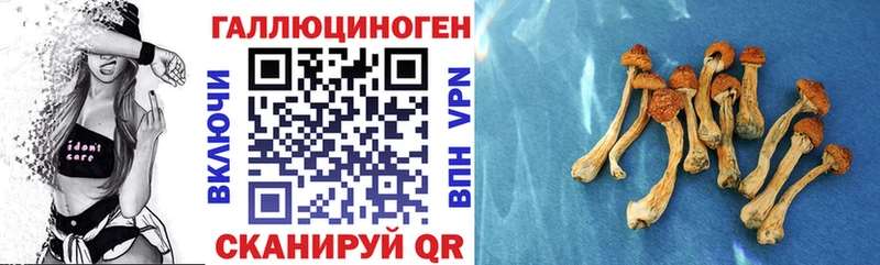Галлюциногенные грибы ЛСД  hydra зеркало  Грязи  купить  