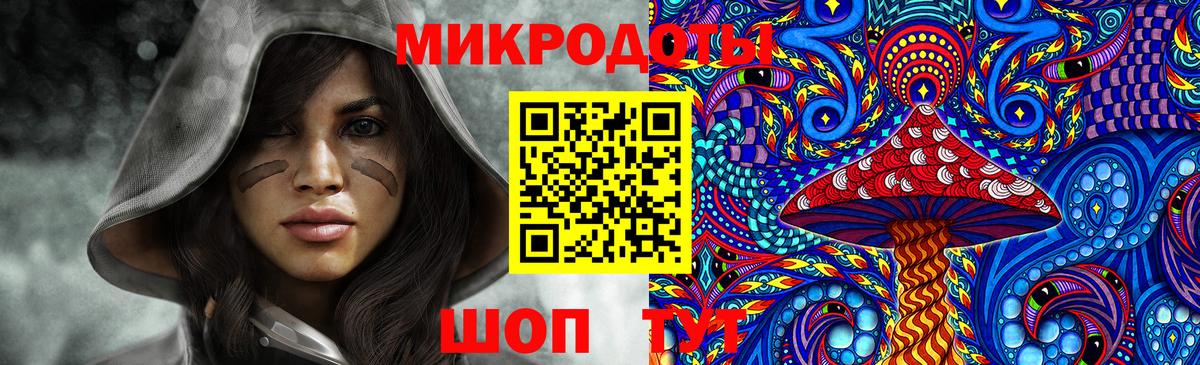 Галлюциногенные грибы прущие грибы  Галлюциногенные грибы GOLDEN TEACHER  Грязи 