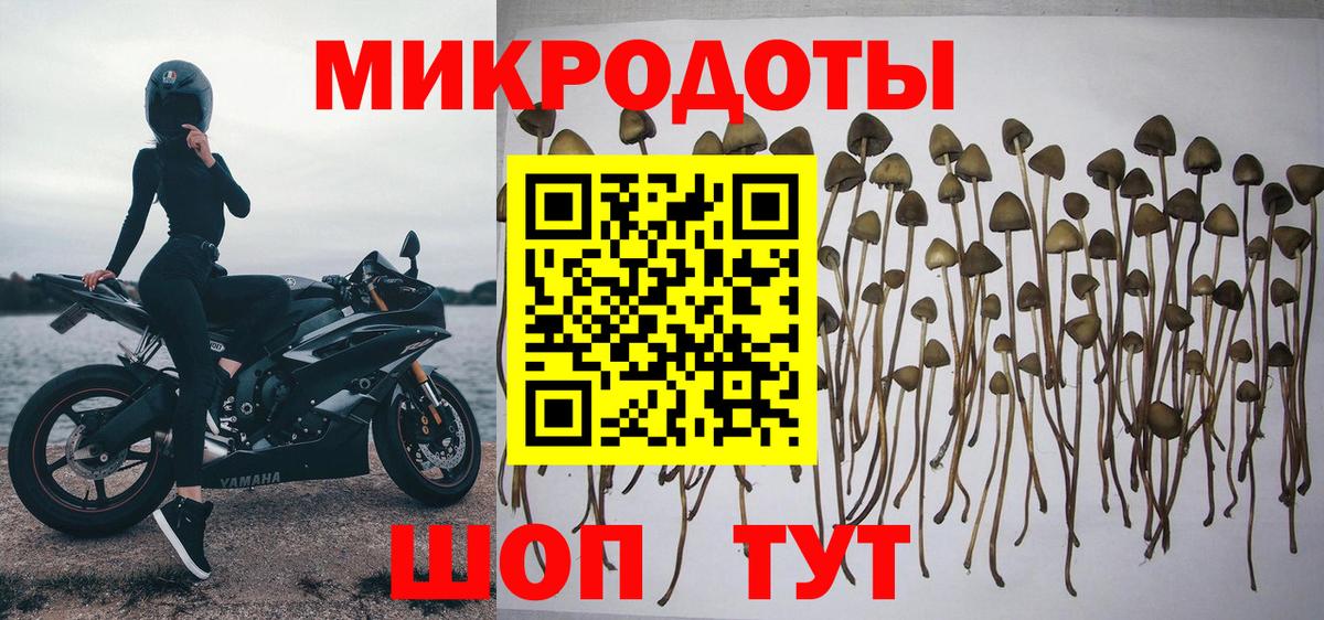 Псилоцибиновые грибы прущие грибы Грязи